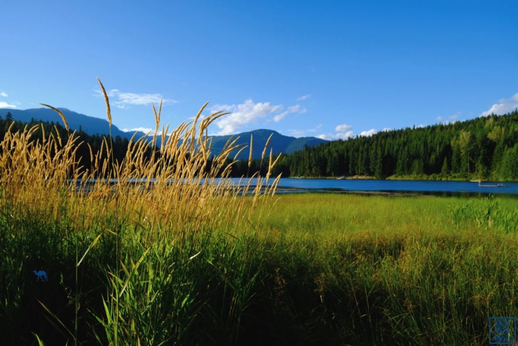 Le Chameau Bleu - Blog Voyage Canada Colombie Britannique -Lost Lake Whistler