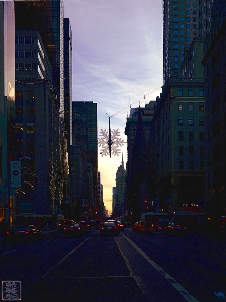 Le Chameau Bleu - Rue de Manhattan à New York USA