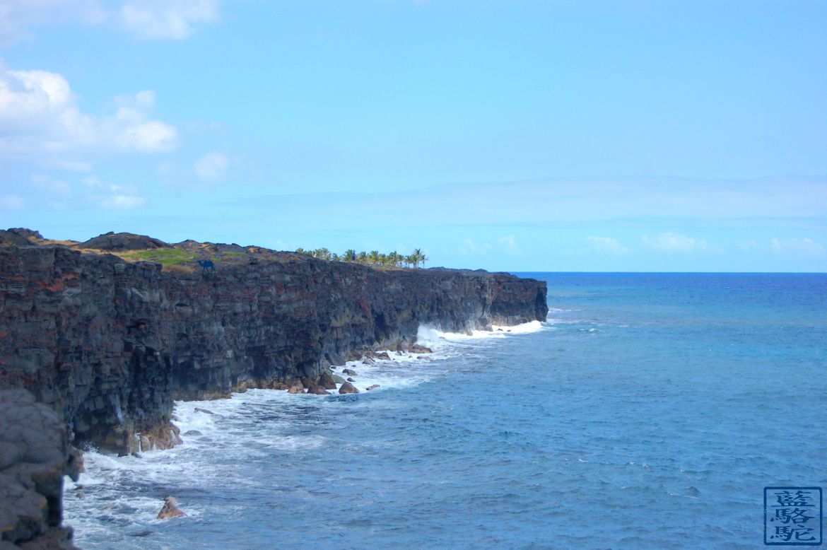 Le Chameau Bleu - Instantanés d'Hawaii