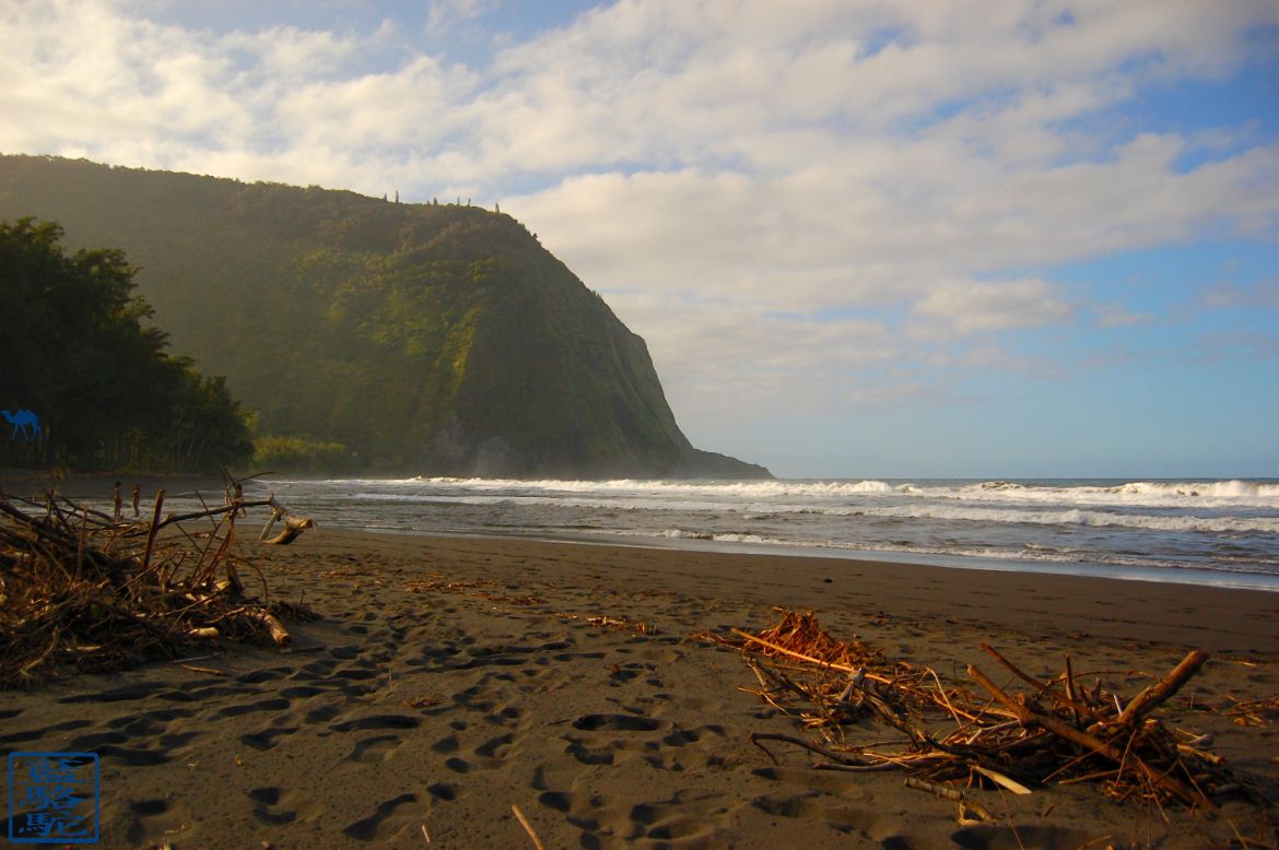 Le Chameau Bleu - Blog Voyage Hawaii -Instantanés Hawaïens - Plage de sable noir
