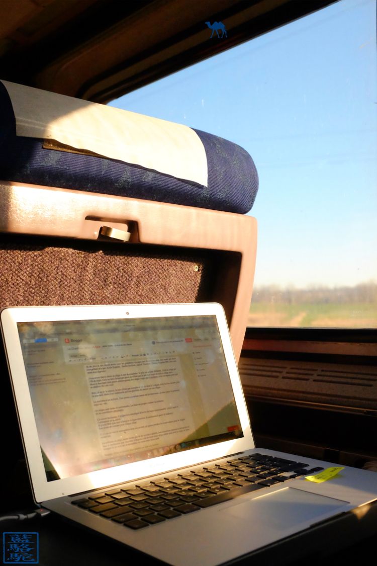 Le Chameau Bleu -En train de rédiger un article dans le train de chicago