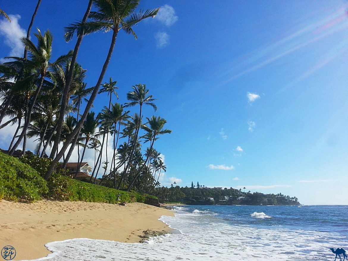 Etats Unis Instantanés Dhawaii Le Chameau Bleu Blog