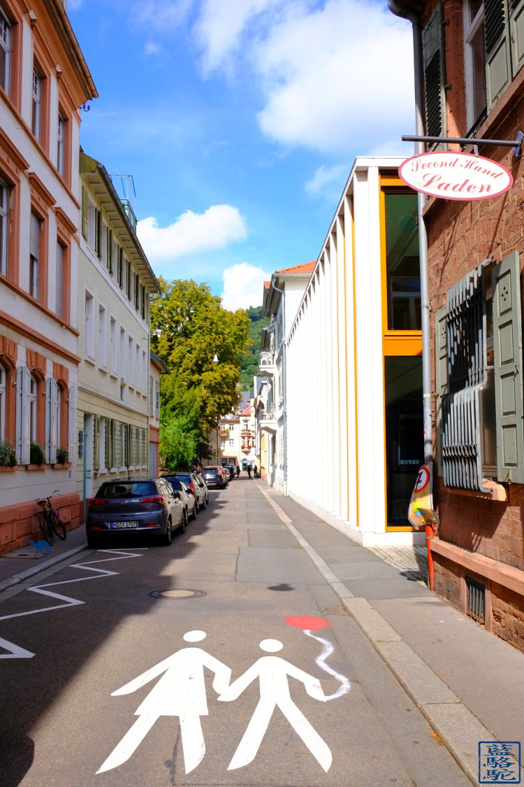 Le Chameau Bleu - Blog Voyage Heidelberg Allemagne - Rue du Centre ville d'Heidelberg Deutschland