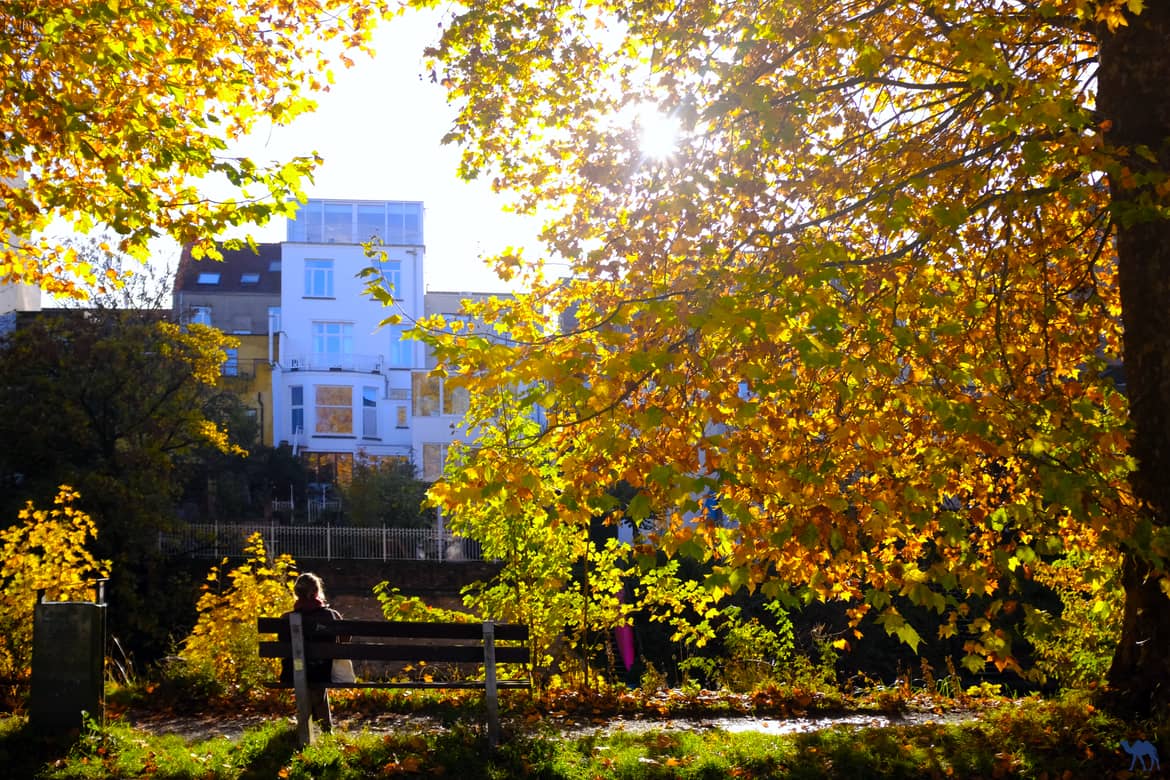 Le Chameau Bleu - Voyage Gand à vélo - Automne à Gand