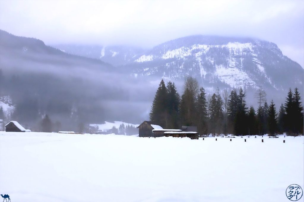 Le Chameau Bleu - Voyage En Autriche - Neiges de Gosau - Dachstein