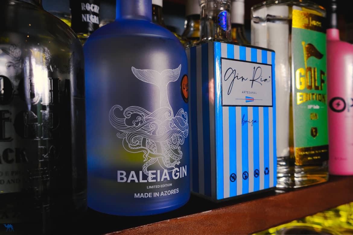 Le Chameau Bleu - Blog Voyage et Photo - Portugal - Iles des Açores- Baleia Gin