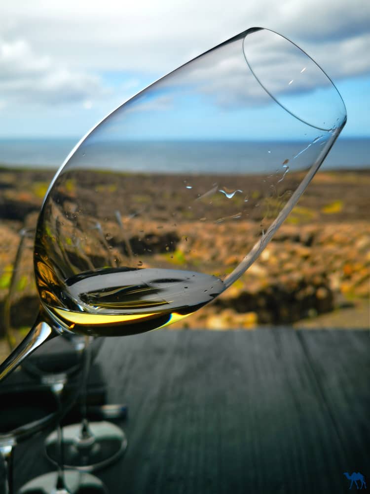 Le Chameau Bleu - Blog Voyage et Photo - Portugal - Iles des Açores- Azores Wine Company