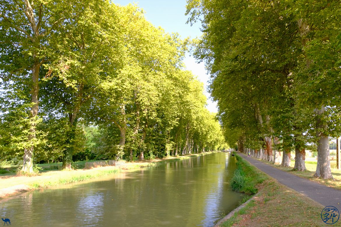 Le Chameau Bleu - Blog Voyage à Vélo sur le Canal des deux Mers - Paysage du Tarn Et Garonne 