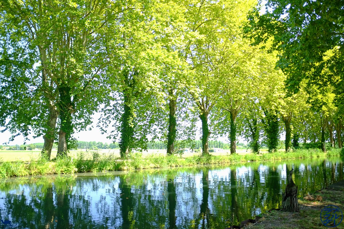 Le Chameau Bleu - Blog Voyage Canal des deux mers à Velo - Canal des 2 mers Fourques sur Garonne