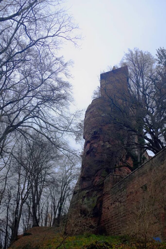 Le Chameau Bleu - Voyage En Alsace Verte - Chateau du Bewarstein