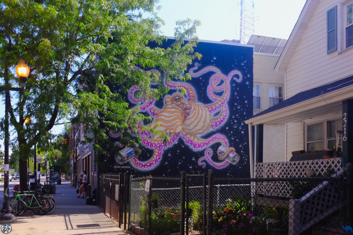 Le Chameau Bleu - Blog Voyage Chicago - Street Art à Chicago - Poulpe