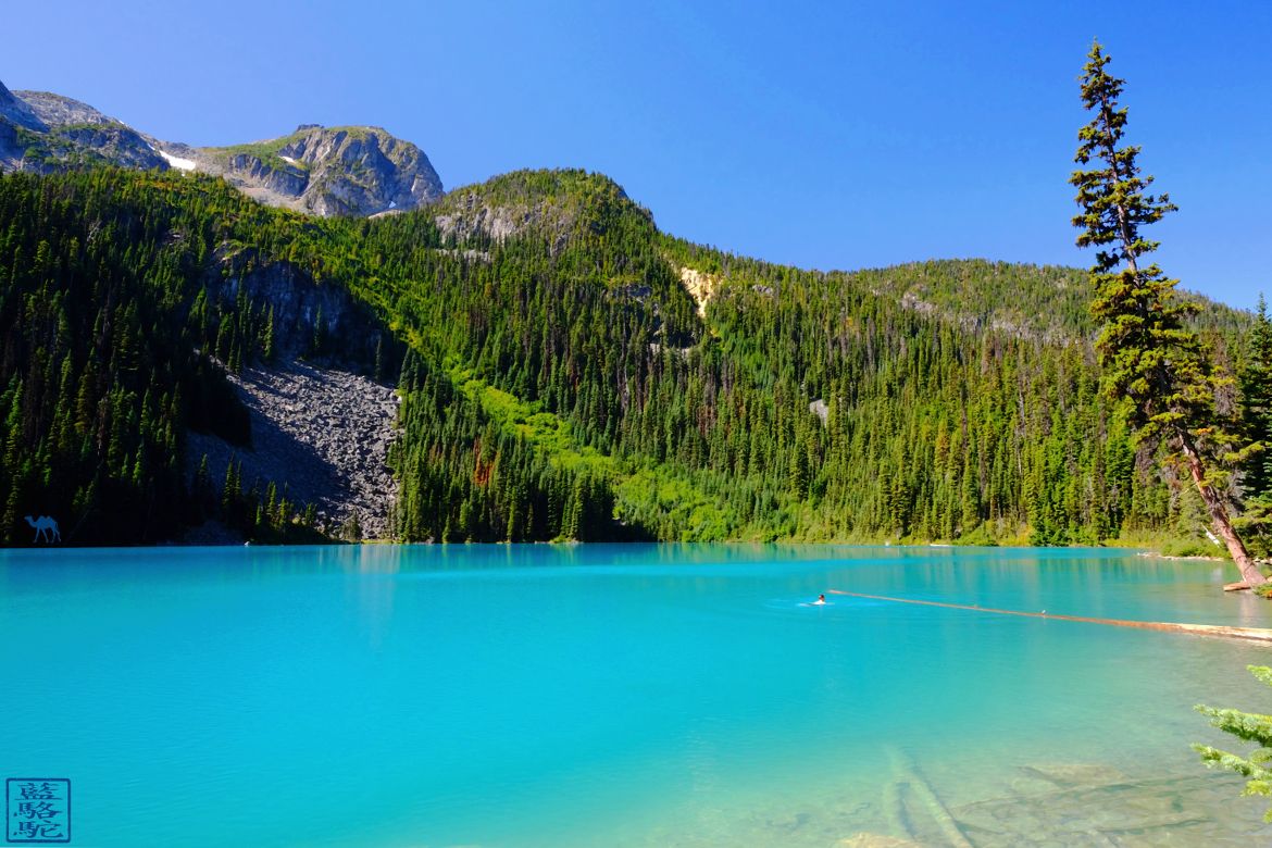 Le Chameau Bleu - Blog Voyage Colombie Britannique Canada - Randonnée Joffre Lake Trail Canada - Provincial Park