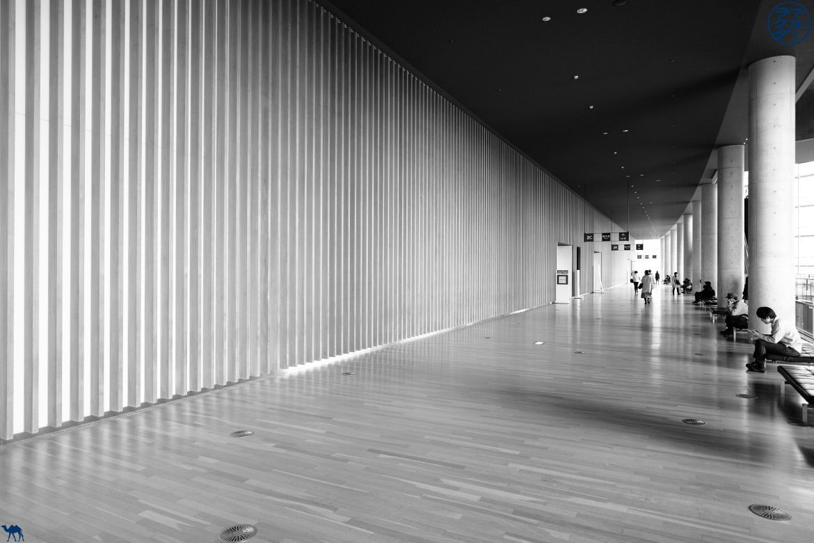 Le Chameau Bleu - Tokyo - Japon Architecture du Centre national d'Art à Roppongi