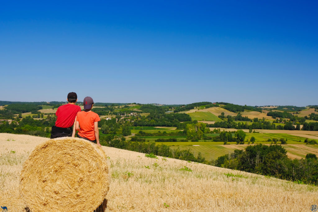 Instantanés Du Tarn Et Garonne Le Chameau Bleu