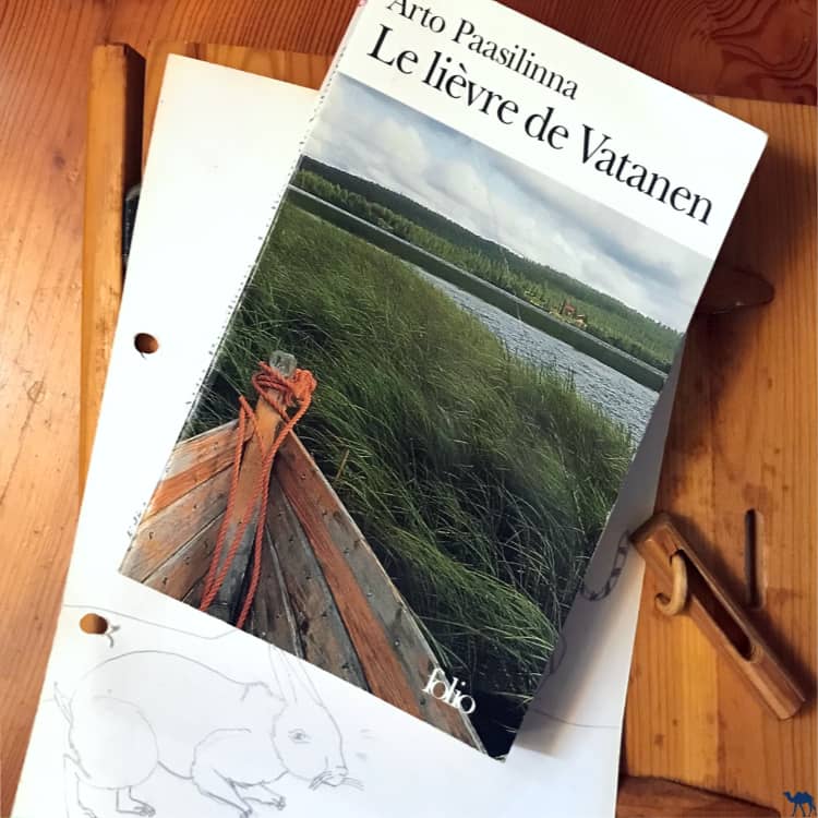 Le Chameau Bleu - Blog Voyage et Photo - Bibliothèque Finlandaise - Le Lièvre de Vatanen