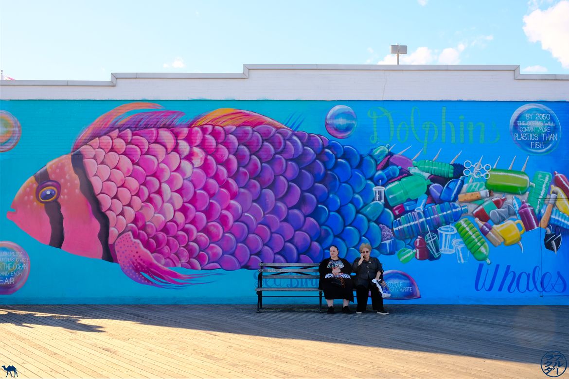Le Chameau Bleu - Blog Voyage New York - Street Art à Coney Island 