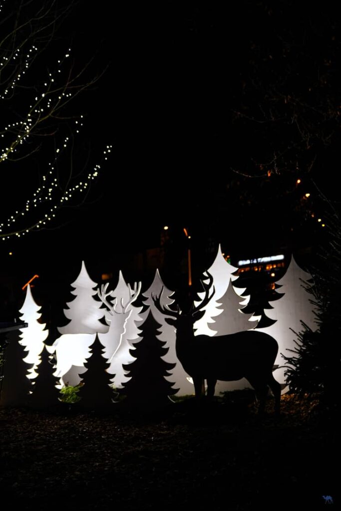 Le Chameau Bleu - Voyage En Alsace Verte - Marché de Noël de Niederbronn Les Bains - Décoration