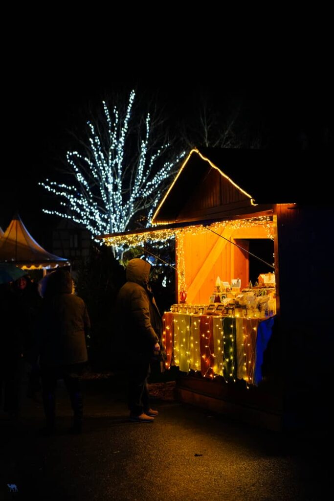 Le Chameau Bleu - Voyage En Alsace Verte - Marché de Noël de Niederbronn Les Bains - Stand