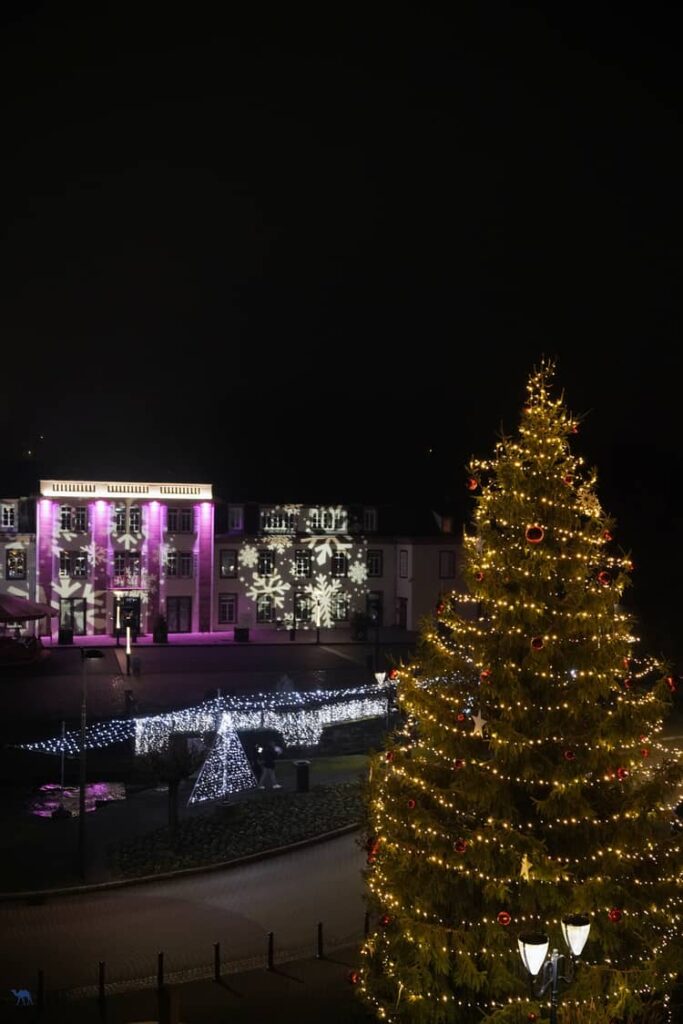 Le Chameau Bleu - Voyage En Alsace Verte - Sapin de Noël de Niederbronn Les Bains