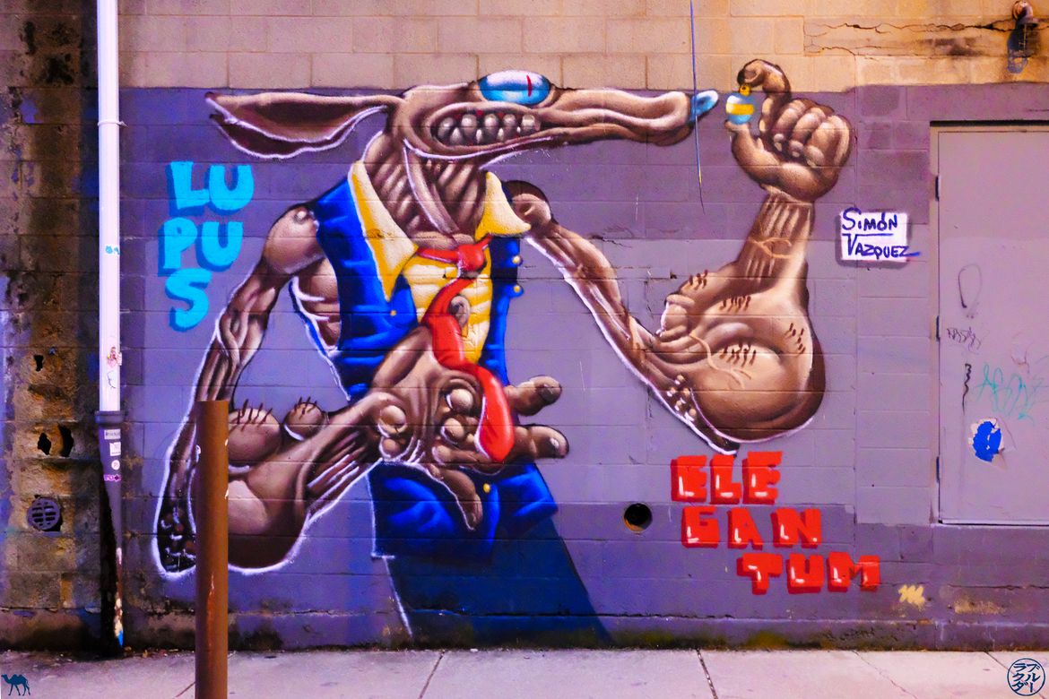 Le Chameau Bleu - Blog Voyage Philadelphie USA - Street Art - Lupus