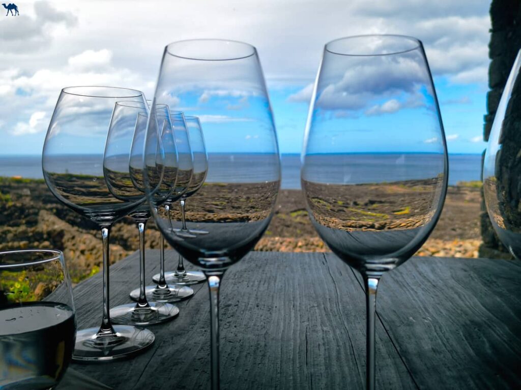 Le Chameau Bleu - Blog Voyage et Photo - Portugal - Iles des Açores- Azores Wine Company Tasting Session