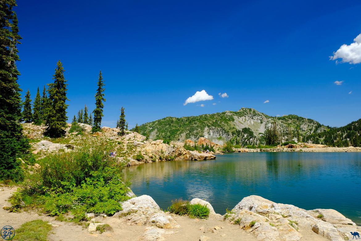 Le Chameau Bleu - Blog Voyage Salt Lake City - Rives du Cecret Lake