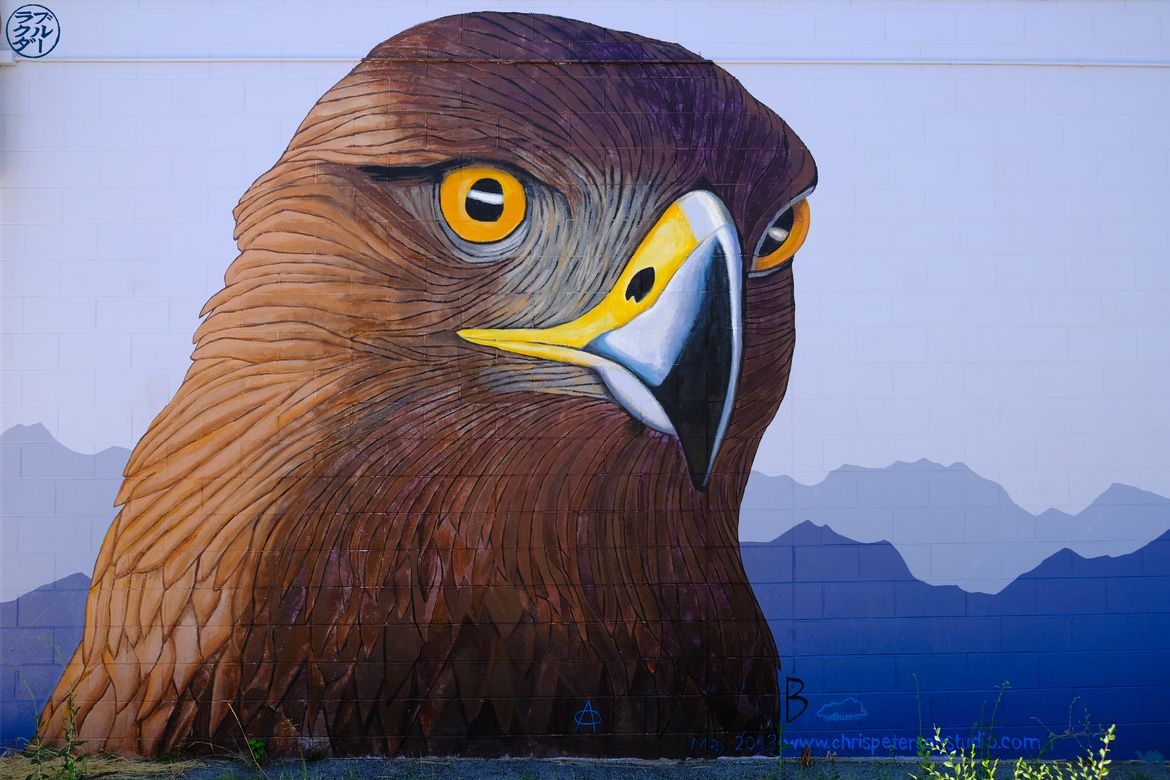 Le Chameau Bleu - Blog Voyage Salt Lake City Utah - Street Art Aigle
