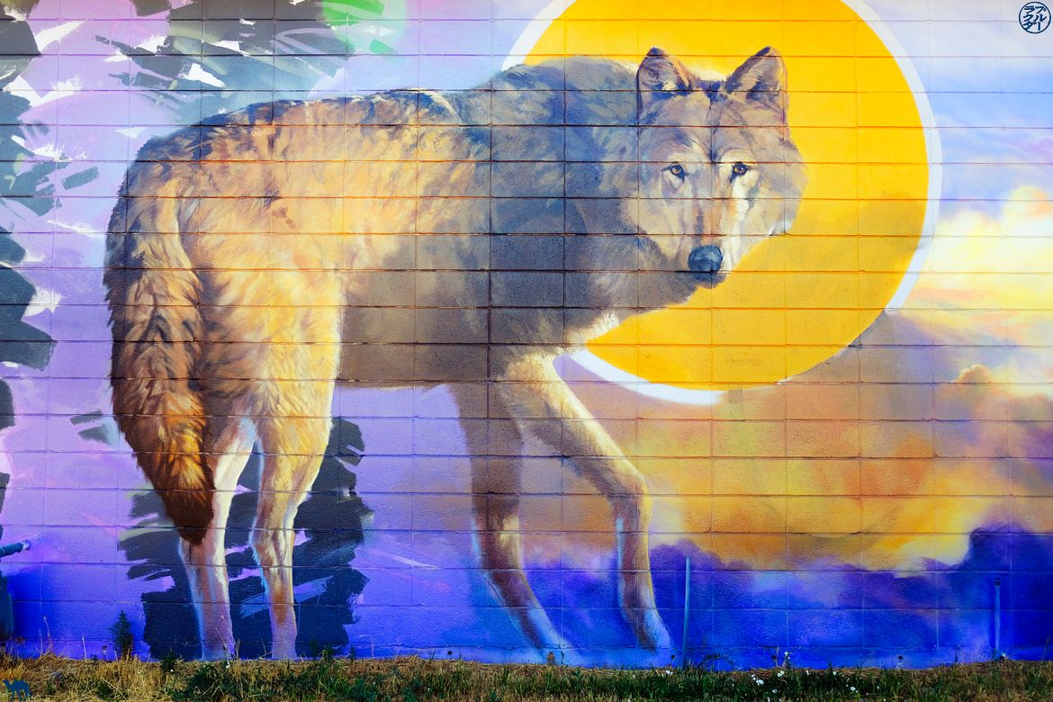Le Chameau Bleu - Blog Voyage Salt Lake City - Street Art Loup