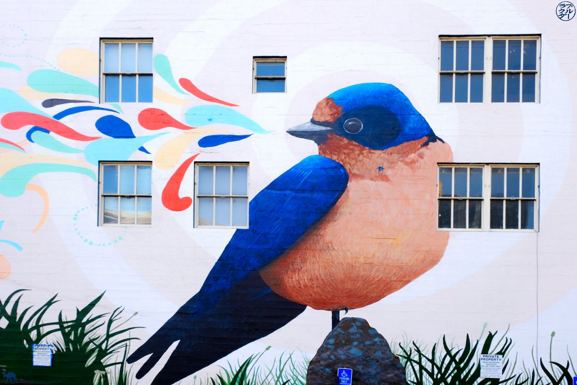 Le Chameau Bleu - Blog Voyage San Francisco - Street Art Oiseau