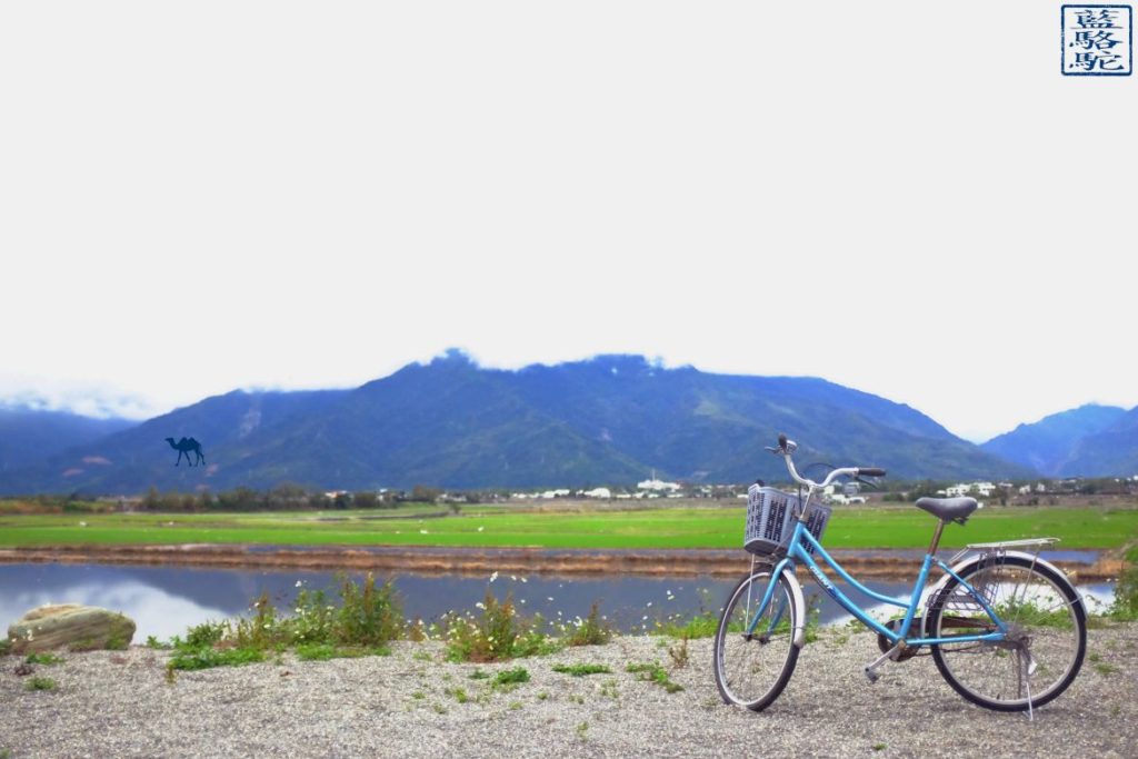Le Chameau Bleu - Blog Voyage Taiwan - Taiwan voyage - Promenade en vélo