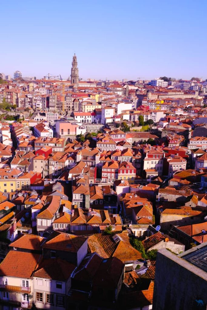 Le Chameau Bleu - Blog Voyage et Photo - Portugal Porto - Les toits de Porto