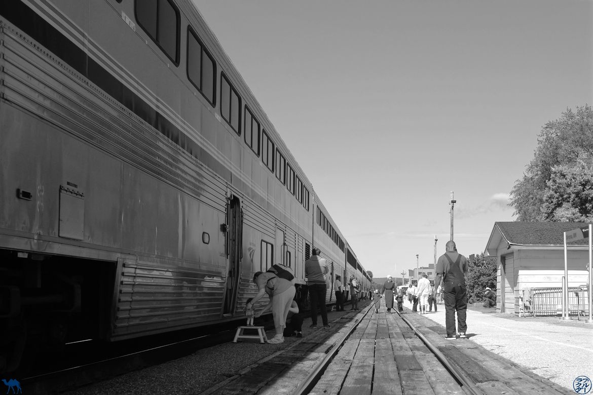 Le Chameau Bleu - Blog Voyage Train Seattle -Chicago - Mormons