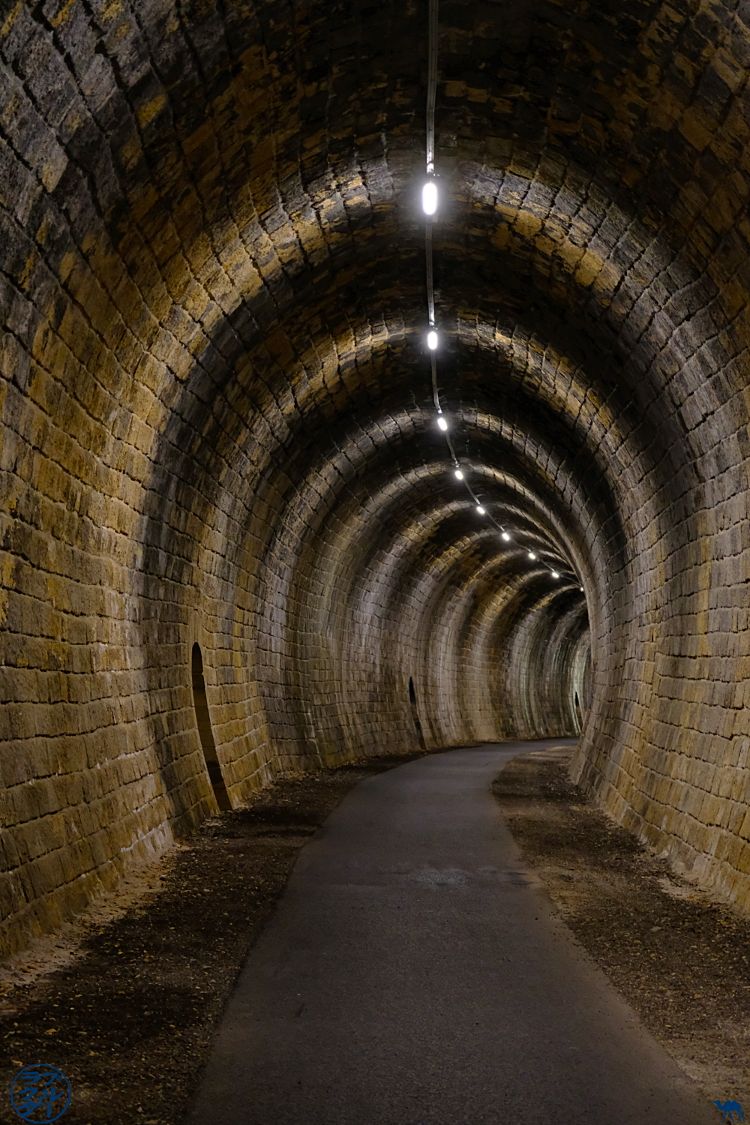 Le Chameau Bleu - Blog Voyage à vélo en Gironde -Tunnel à vélo de la Sauve Majeure