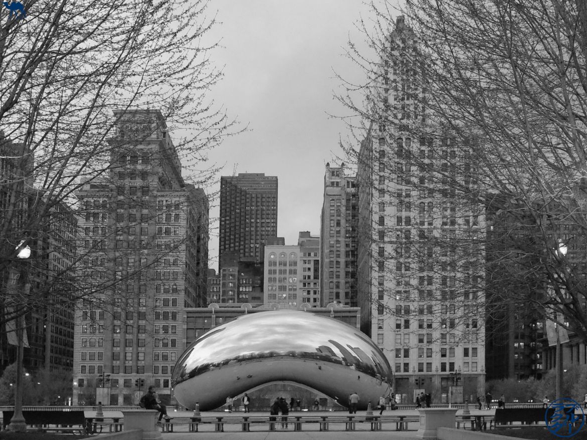 Le Chameau Bleu - Blog Voyage Chicago - Le Cloud Gate à la nuit tombante