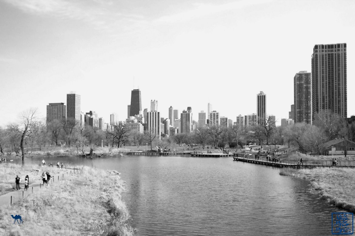 Le Chameau Bleu - Blog Voyage Chicago USA - Parc de Chicago Lincoln Park - Que faire à Chicago