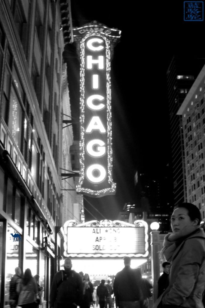 Le Chameau Bleu - The Chicago Theatre - Séjour aux USA