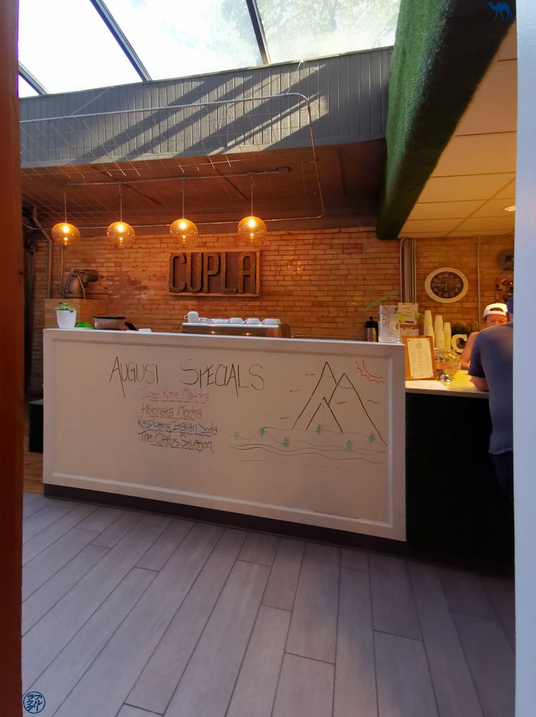 Le Chameau Bleu - Blog Voyage - Culpa Café Comptoir