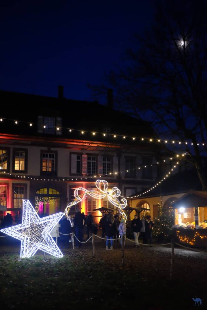 Le Chameau Bleu - Voyage En Alsace Verte - Marché de Noël de Wissembourg