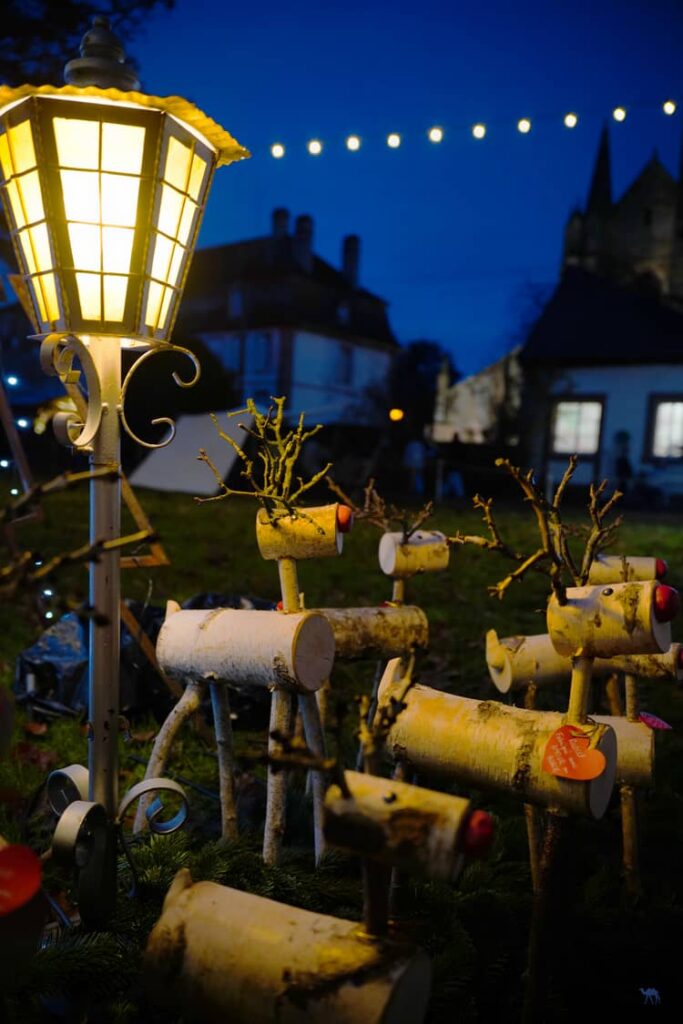 Le Chameau Bleu - Voyage En Alsace Verte - Marché de Noël de Wissembourg