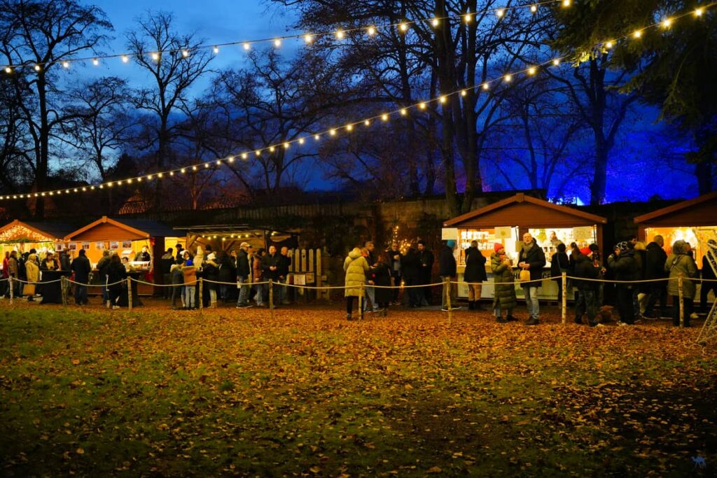 Le Chameau Bleu - Voyage En Alsace Verte - Marché de Noël de Wissembourg - Stand